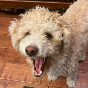 Meet your Posher, Melody